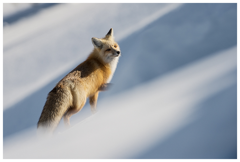 3_20160228-184316_1.jpg 3_20160228-184316_1.jpg