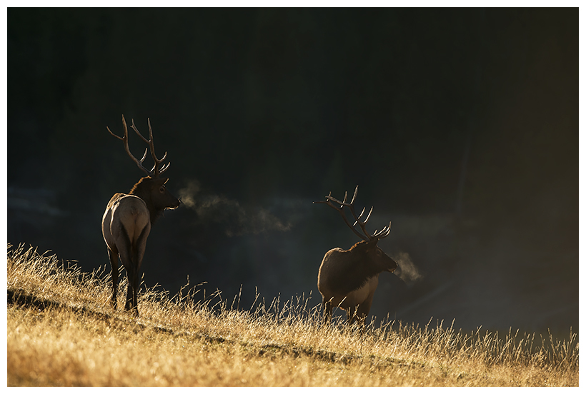 3_20161006-180551_1.jpg 3_20161006-180551_1.jpg