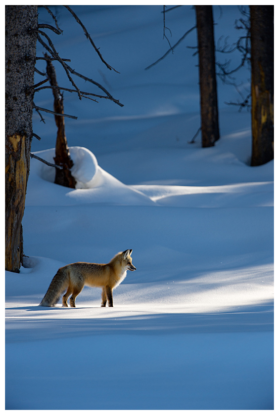 4_20160228-193230_1.jpg 4_20160228-193230_1.jpg