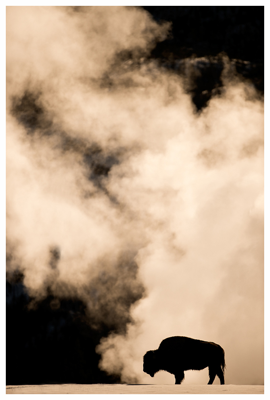 5_20140302-123732_1.jpg 5_20140302-123732_1.jpg