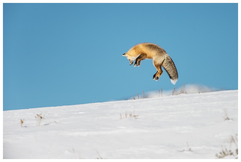 5_20160228-184317_1.jpg 5_20160228-184317_1.jpg