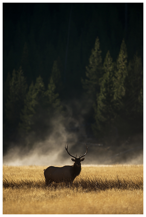 5_20161006-180552_1.jpg 5_20161006-180552_1.jpg