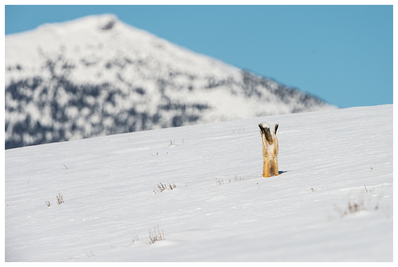 6_20160228-184318_1.jpg 6_20160228-184318_1.jpg