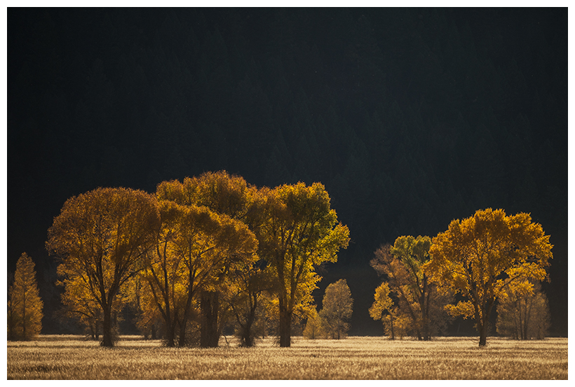 6_20161006-180553_1.jpg 6_20161006-180553_1.jpg