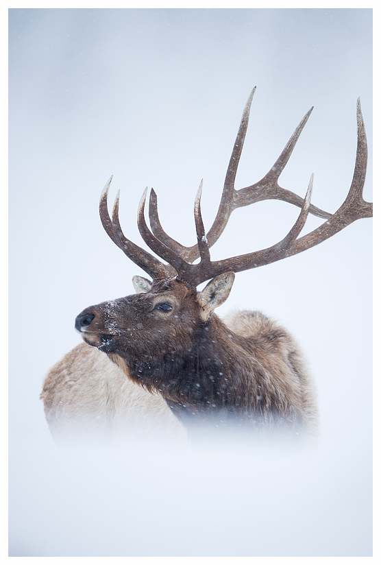 7_20140302-123734_1.jpg 7_20140302-123734_1.jpg