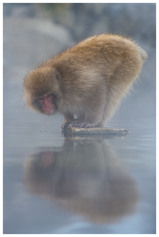 7_20150222-204300_1.jpg 7_20150222-204300_1.jpg