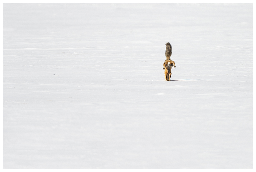 7_20160228-184319_1.jpg 7_20160228-184319_1.jpg