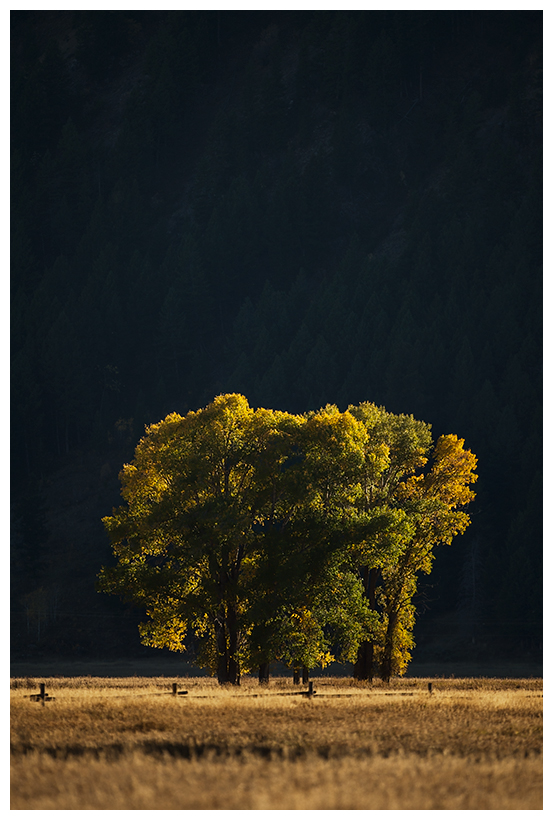 7_20161006-180553_1.jpg 7_20161006-180553_1.jpg