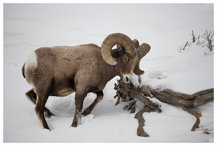 8_20140302-123735_1.jpg 8_20140302-123735_1.jpg