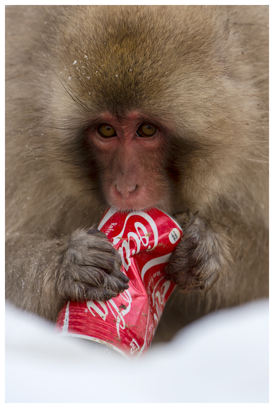 8_20150222-204301_1.jpg 8_20150222-204301_1.jpg