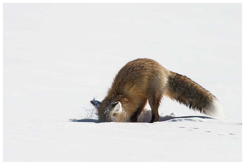 8_20160228-184320_1.jpg 8_20160228-184320_1.jpg