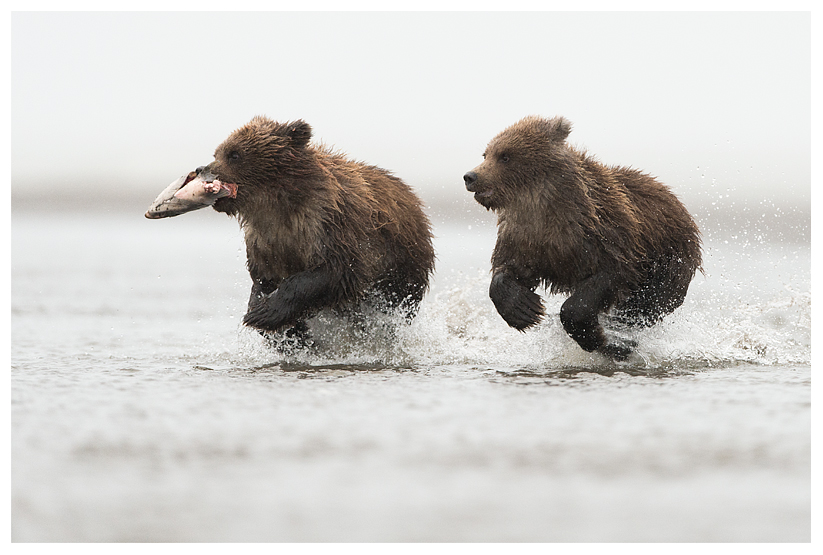 9_20140918-181350_1.jpg 9_20140918-181350_1.jpg