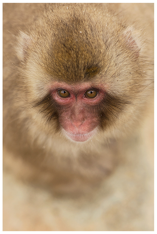 9_20150222-204301_1.jpg 9_20150222-204301_1.jpg