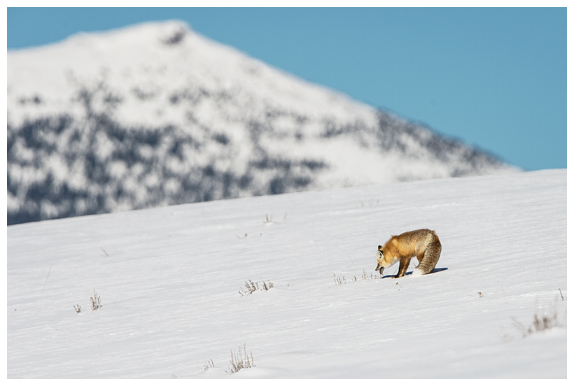 9_20160228-184321_1.jpg 9_20160228-184321_1.jpg