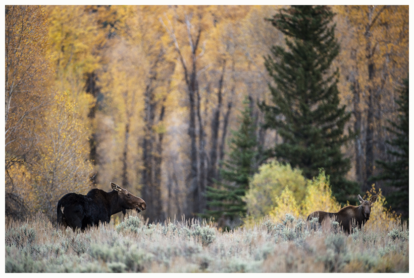 9_20161006-180555_1.jpg 9_20161006-180555_1.jpg