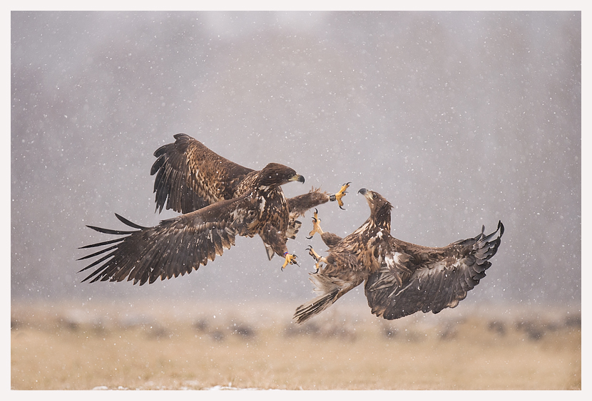 blogfoto-2.jpg blogfoto-2.jpg