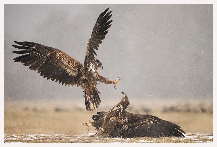 blogfoto-3.jpg blogfoto-3.jpg