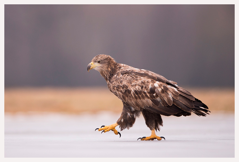 blogfoto-9.jpg blogfoto-9.jpg